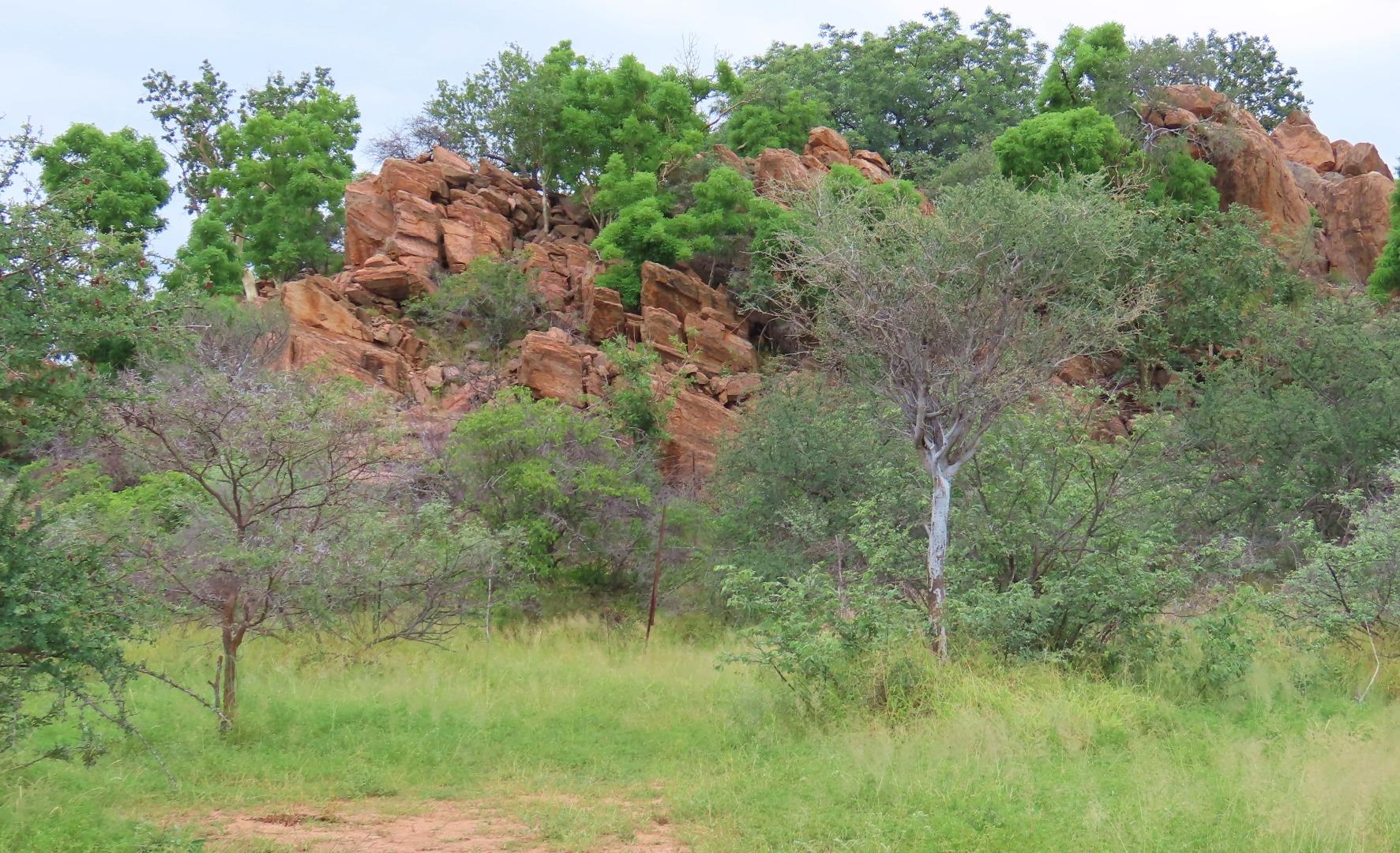 731911_49.JPG