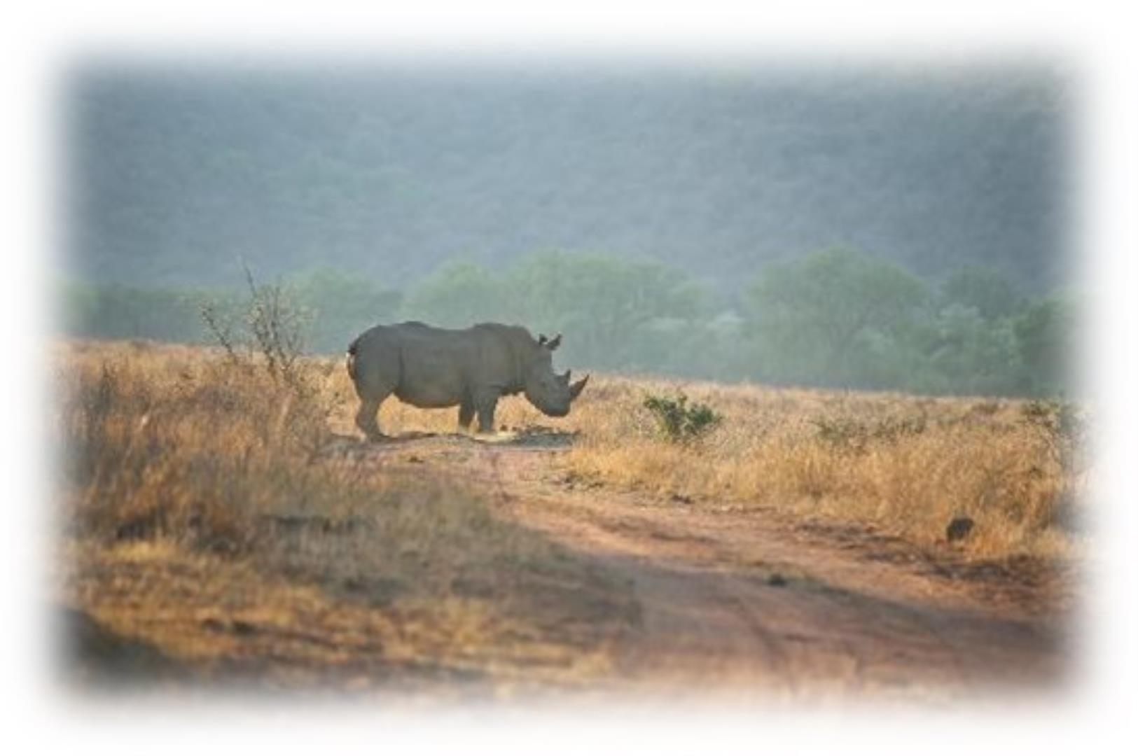 Farm for Sale - Limpopo